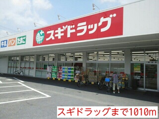 カレント その他