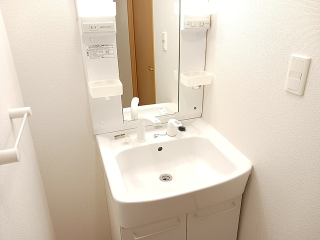 メゾン　ド　レイ 洗面所