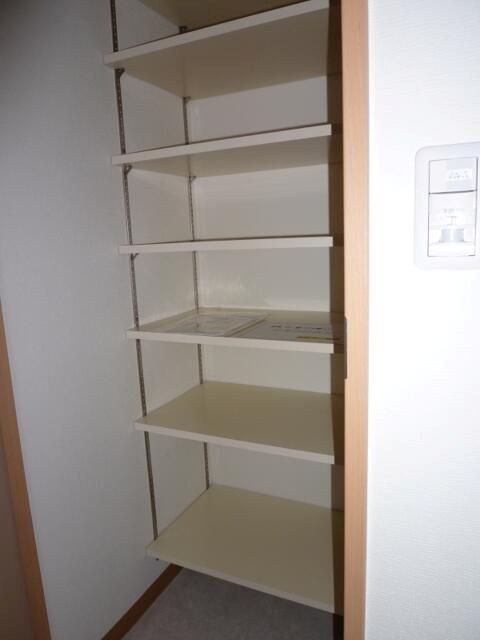 エヴァーグリーン新羽 収納