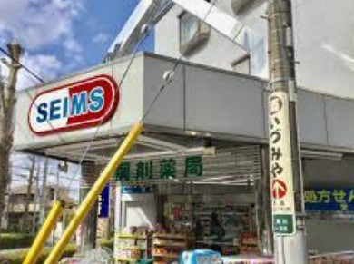 ユナイト二俣川ラムズデール ドラッグストア