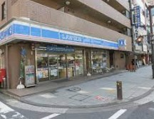 スカイガーデン川崎 コンビニ