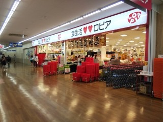 Kolet小田栄＃12 スーパー