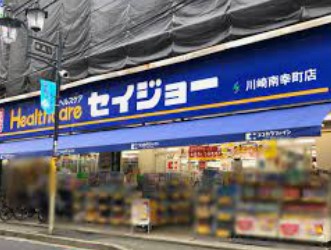 南幸第二KSマンションB棟 ドラッグストア