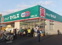 ヴィラナカヤマ ドラッグストア