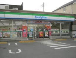 ピエール武蔵小杉 コンビニ