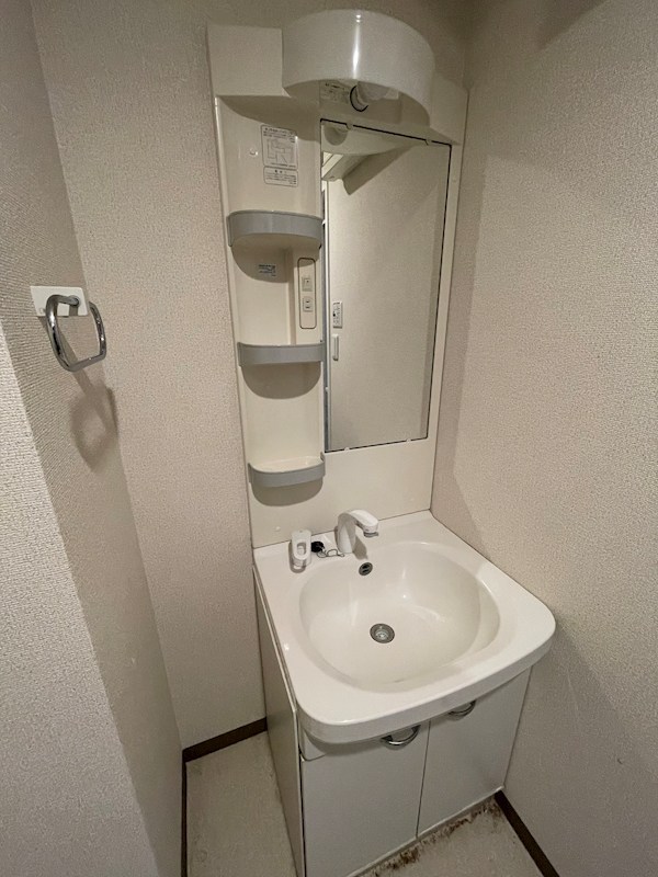 メゾン柳 洗面所
