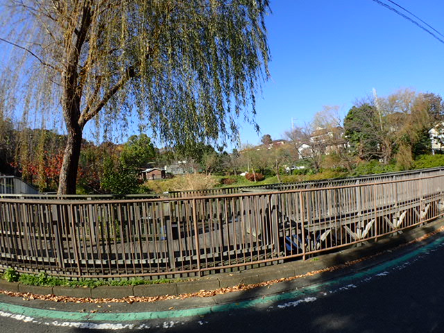 アムール　踊場 公園