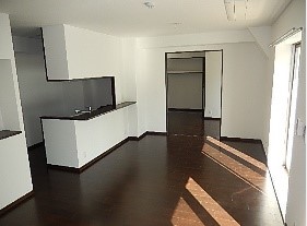 大阪府大阪市西区新町１丁目 リビング