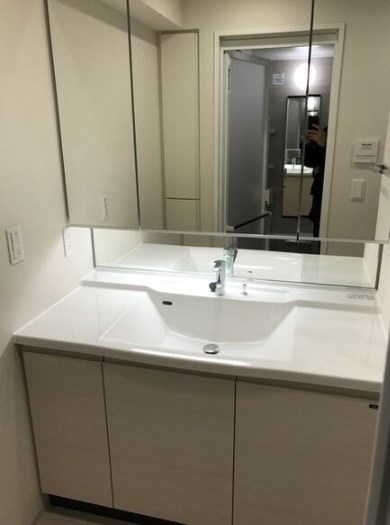 ブランズ北堀江プレイス 洗面所