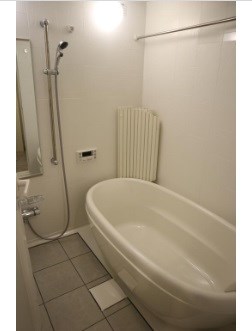 メゾニティクイーン阿波座 風呂画像