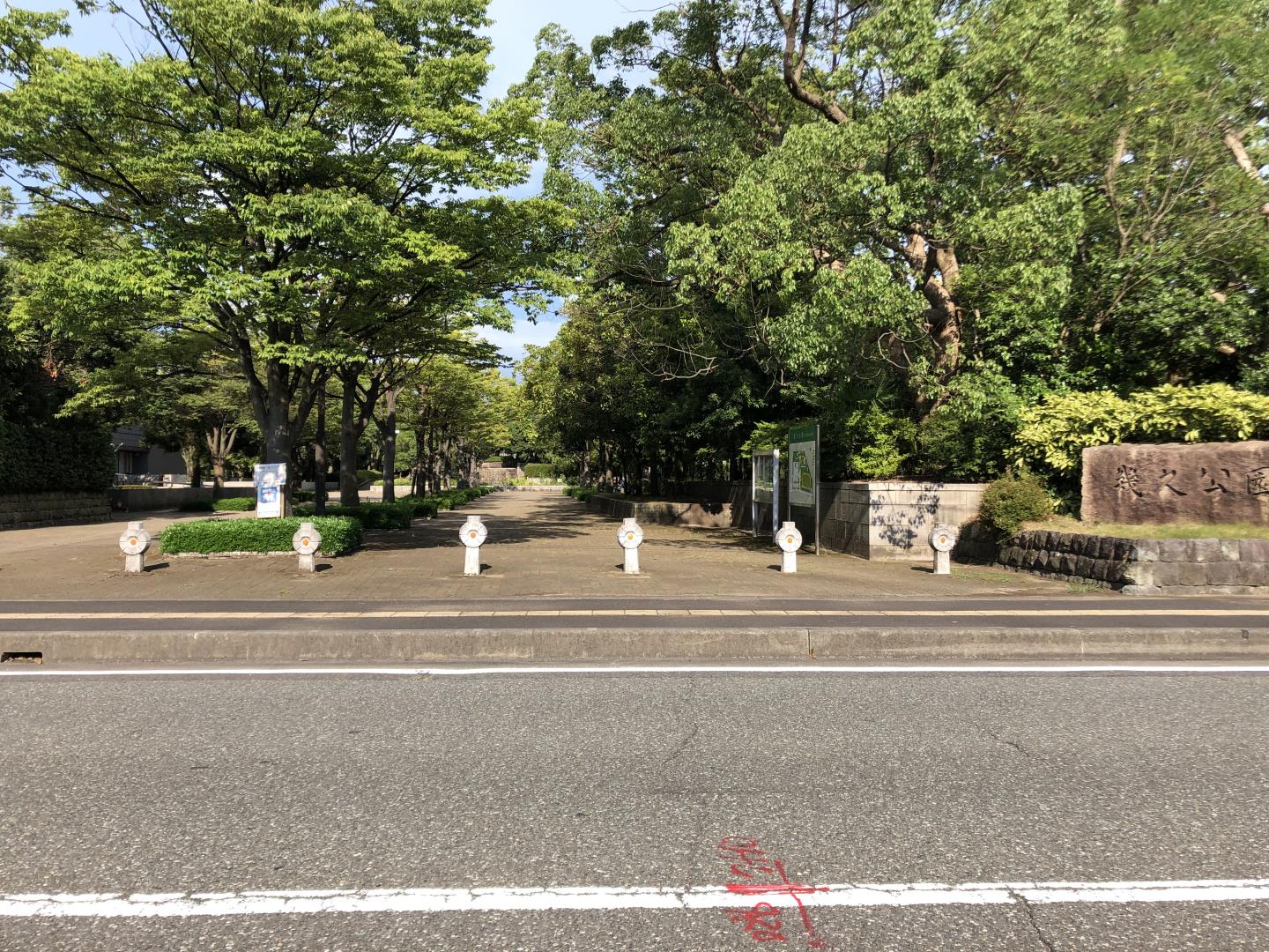 福井県福井市大宮１丁目 公園