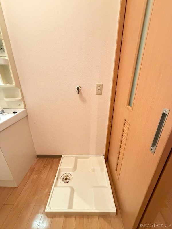 サンフラワー その他