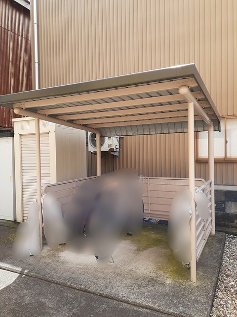 グレイス　アクア その他