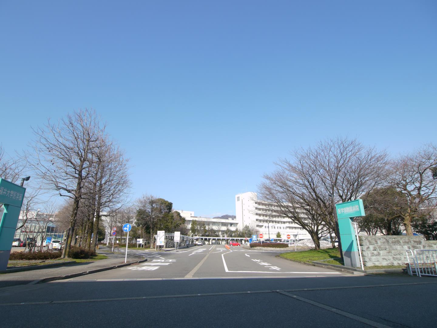 ボナチーア 大学・短大