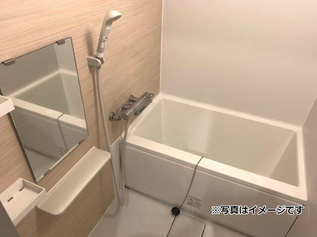 ディアレイシャス南砂町 風呂画像