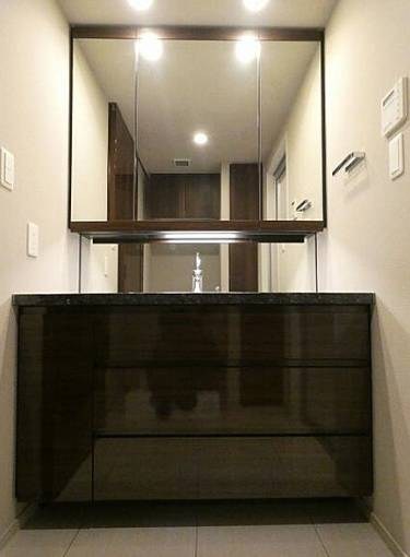 ミレアコート銀座プレミア 洗面所
