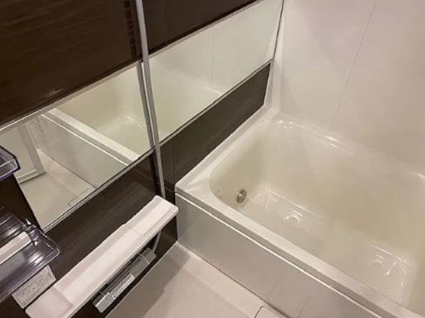 RIDGE豊洲 風呂画像