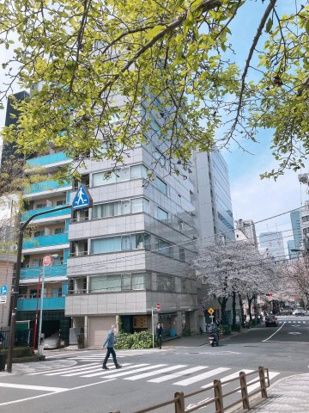 ラフィーネ日本橋 その他