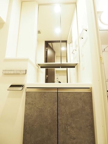 レジディア門前仲町プレイス 洗面所