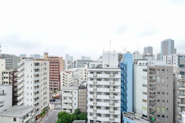 グランカーサ門前仲町 眺望