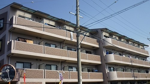 エレガンシア金剛 外観