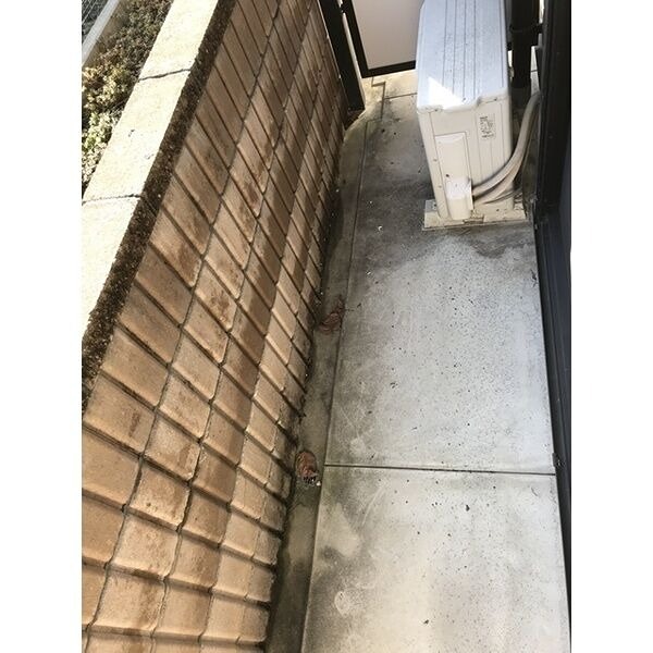 アンプルールクラージュサピエンス ベランダ