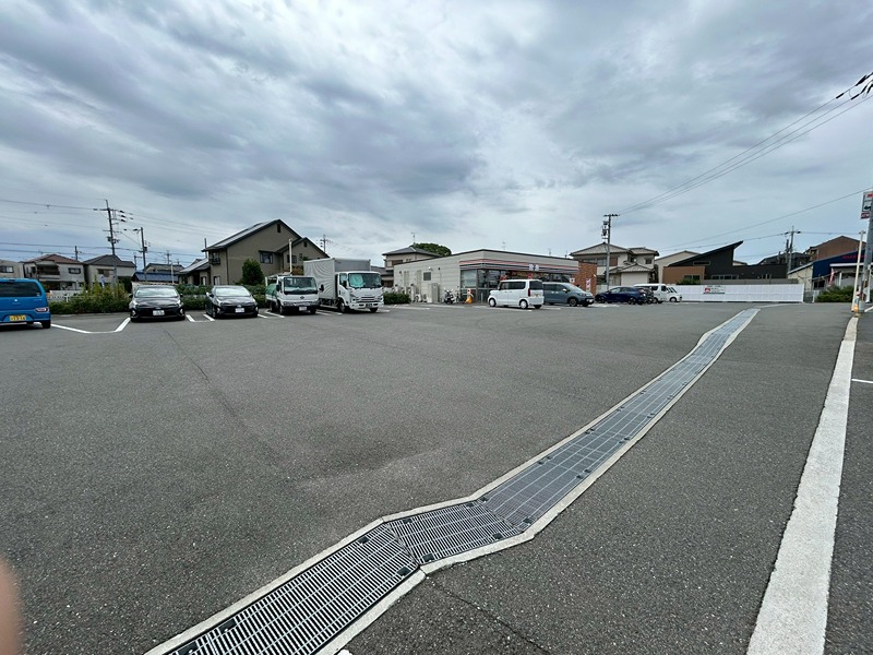 クリプトメリア コンビニ