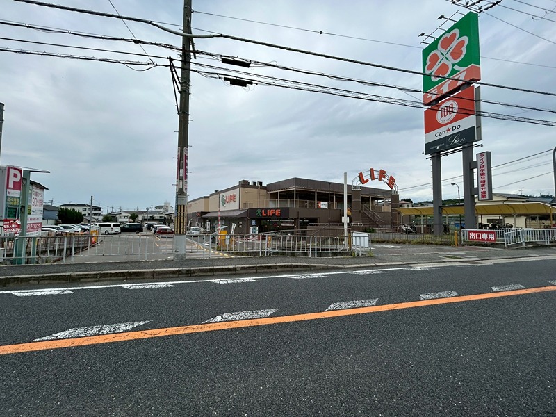 クリプトメリア スーパー