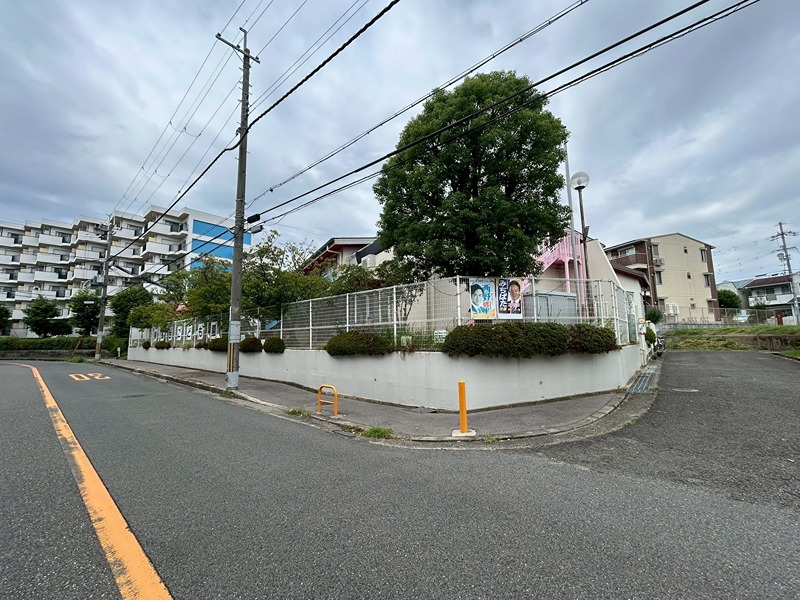 クリプトメリア 保育所