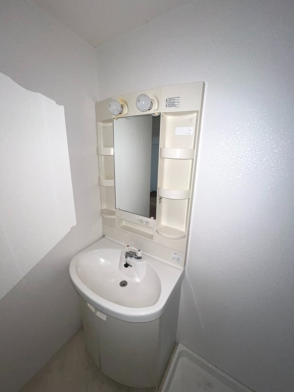 メゾン大北 洗面所
