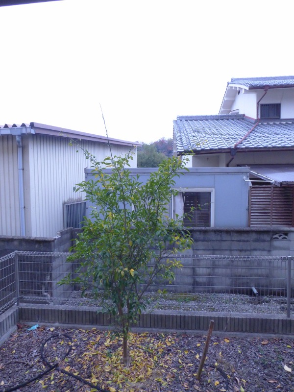 フローラ河内長野 眺望