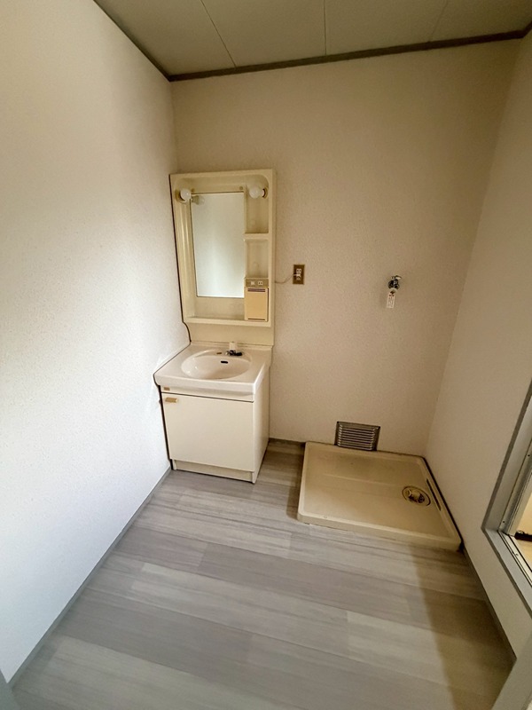 シャトードイワネE号館 洗面所