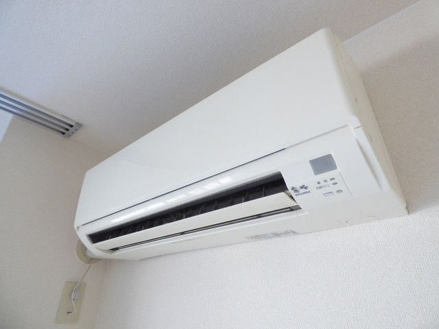 クリプトメリア その他設備