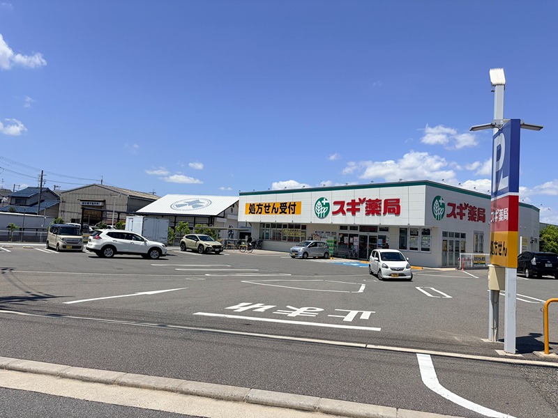 プリシェールN ドラッグストア