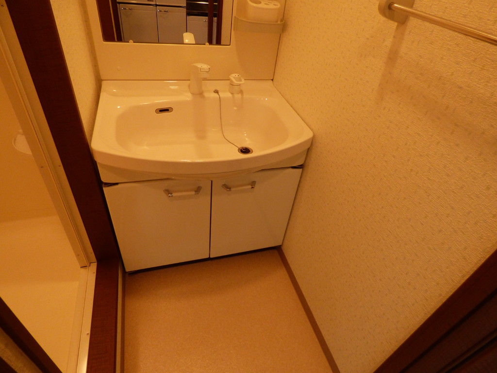 フジパレス楠町 洗面所