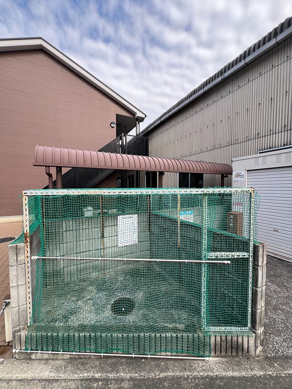 フジパレス　シェソワ土塔 その他