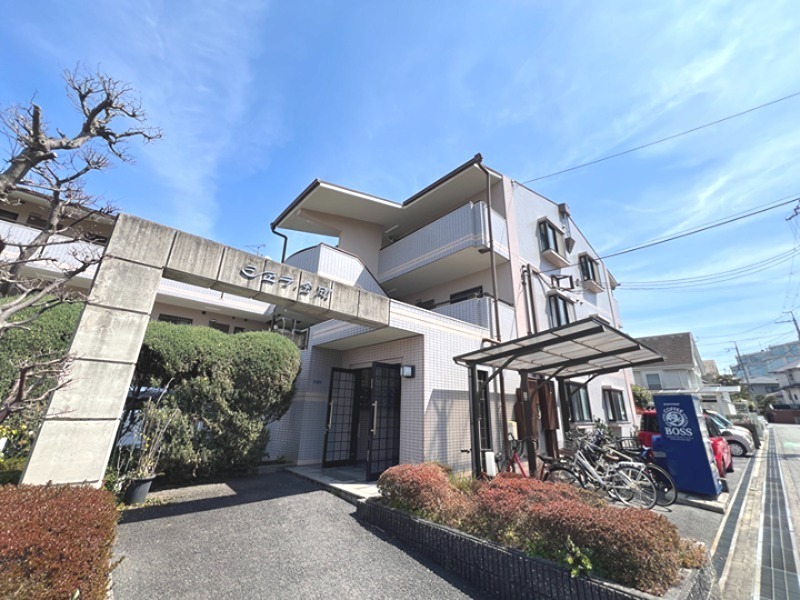 シェラ金剛 外観