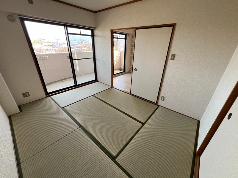 シェラ金剛  その他