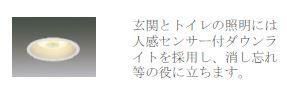 堺市美原区南余部新築アパート レインズ用チラシ画像