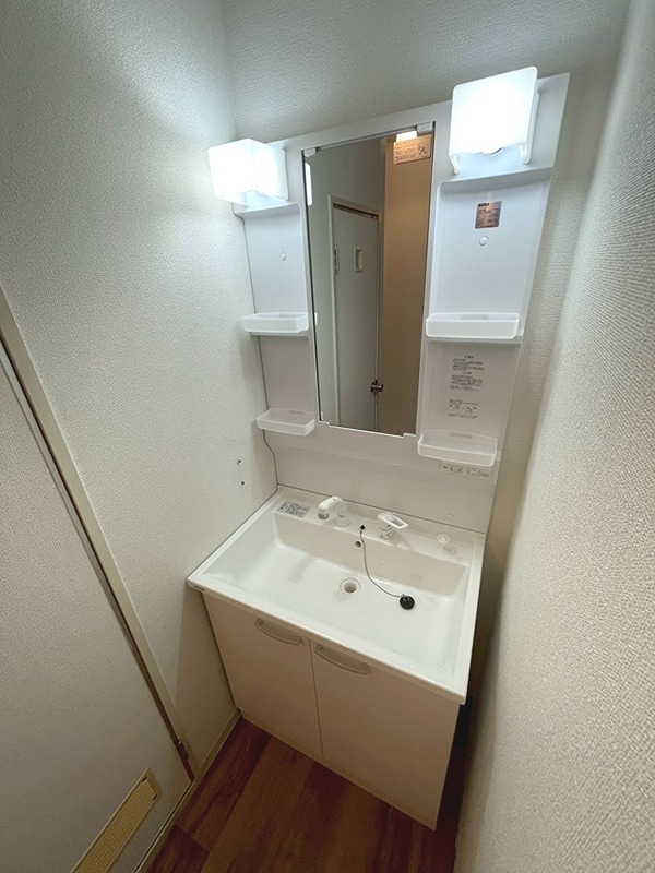 シャトードイワネJ号館 洗面所