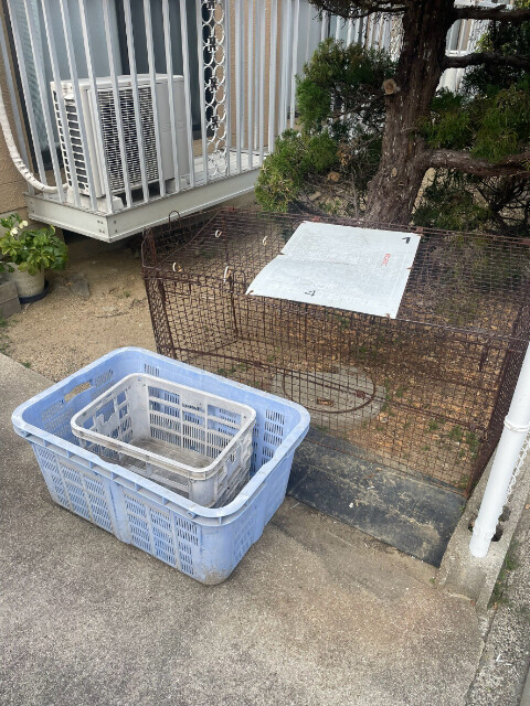 置田ハイツ その他共有部分