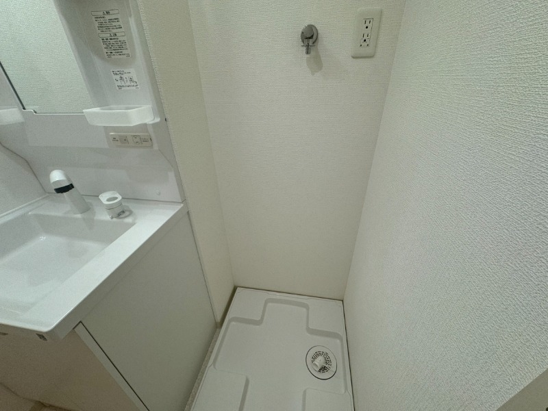 D porta cacto その他