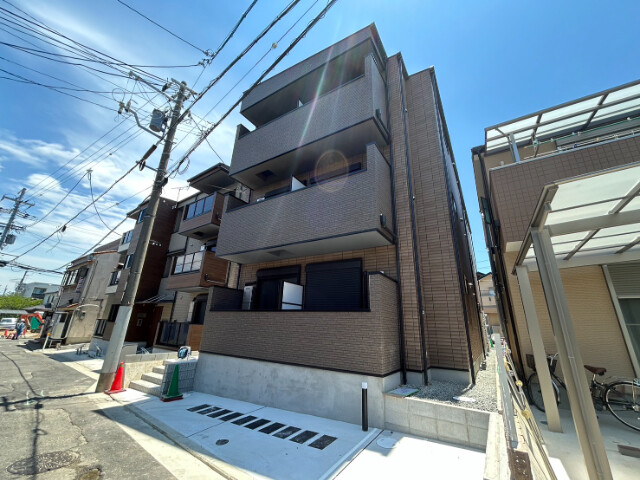 D porta cacto 外観
