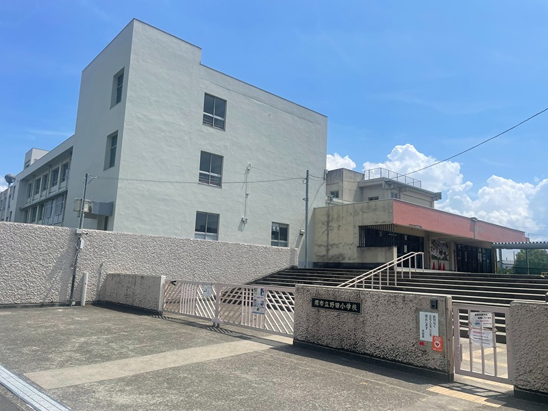 D porta cacto 小学校