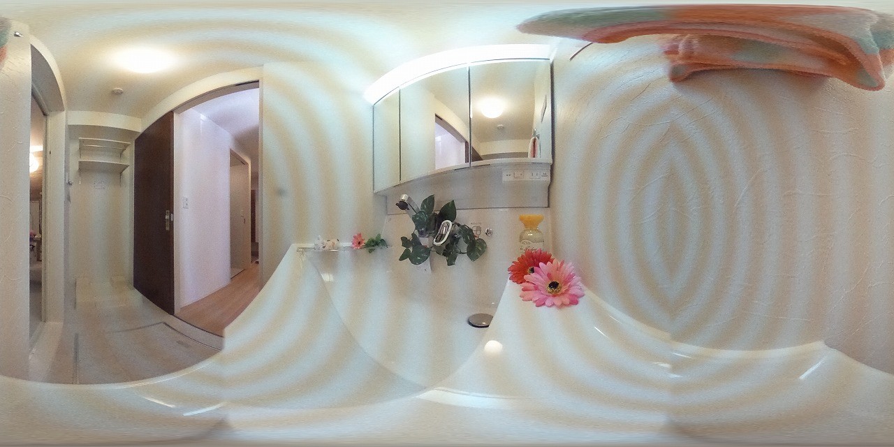 VillaPino美原 洗面所