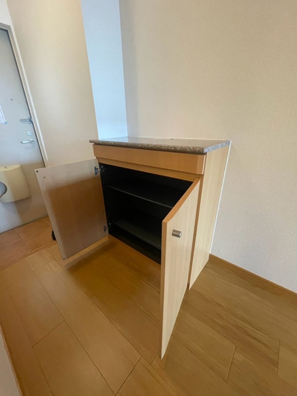 アイリィー　ビュー 収納