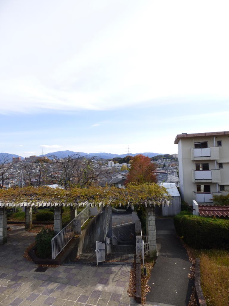ヴィラナリー狭山5号棟 眺望