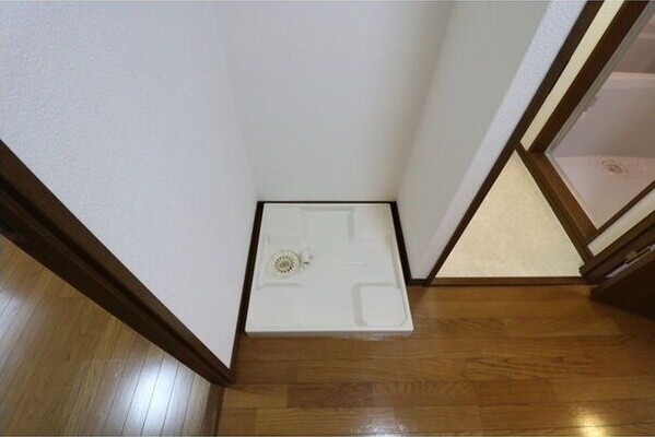 アムール もみの木 その他