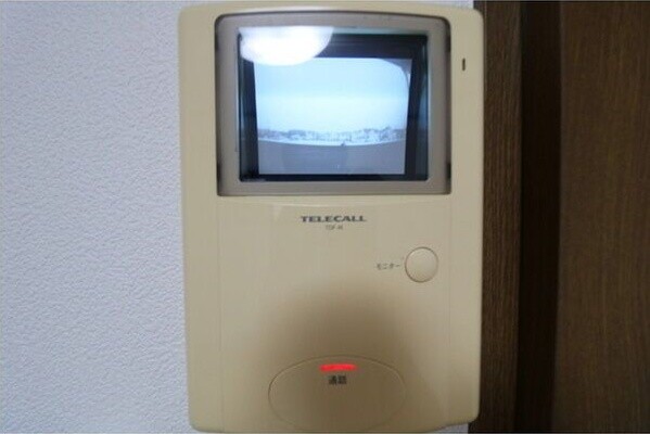 アムール もみの木 その他