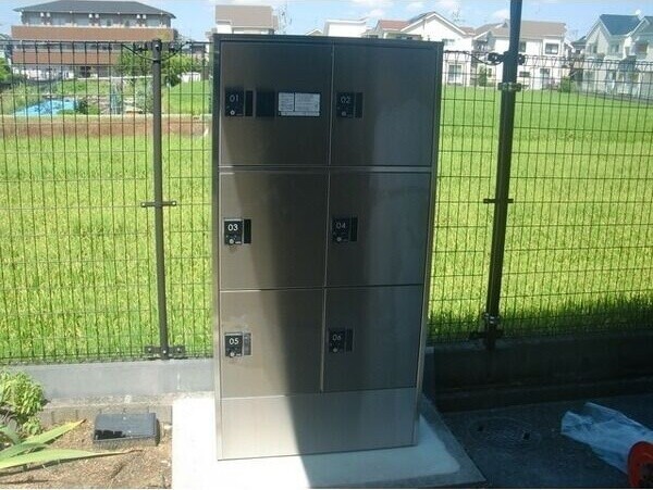 アムール もみの木 その他